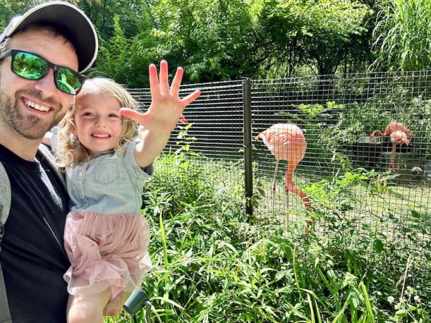 Dad and daughter standing by flamingos at Pittsburgh Zoo
