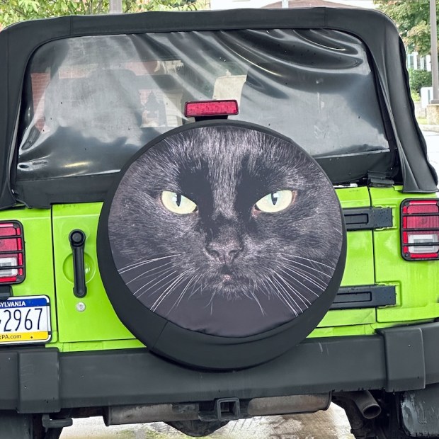 Black cat tire cover on lime green Jeep