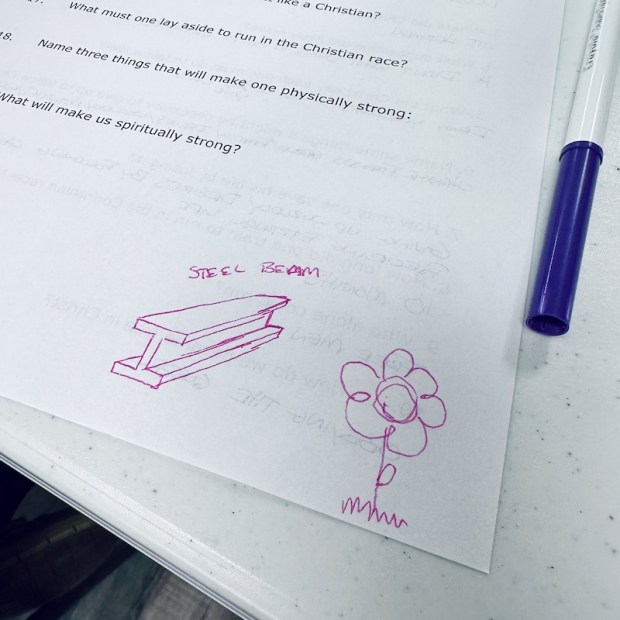 Flower and steel beam drawing