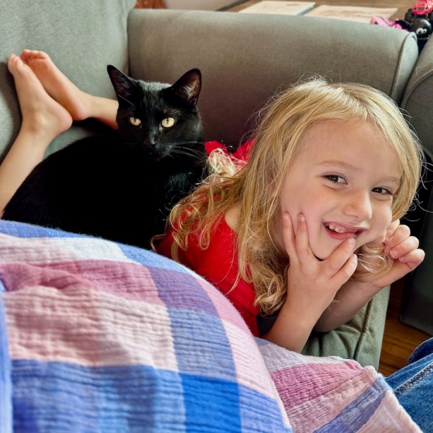 Cat laying on young child