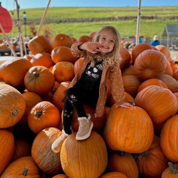 Four year old sitting on pumpkins at Trax Farms
