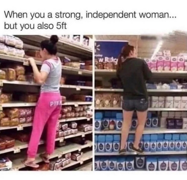 Short girl problems meme