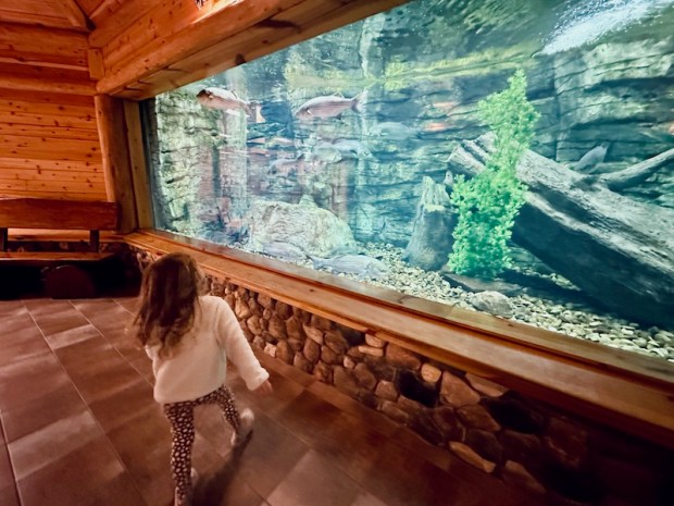 Girl walking by fish tank at Cabela's