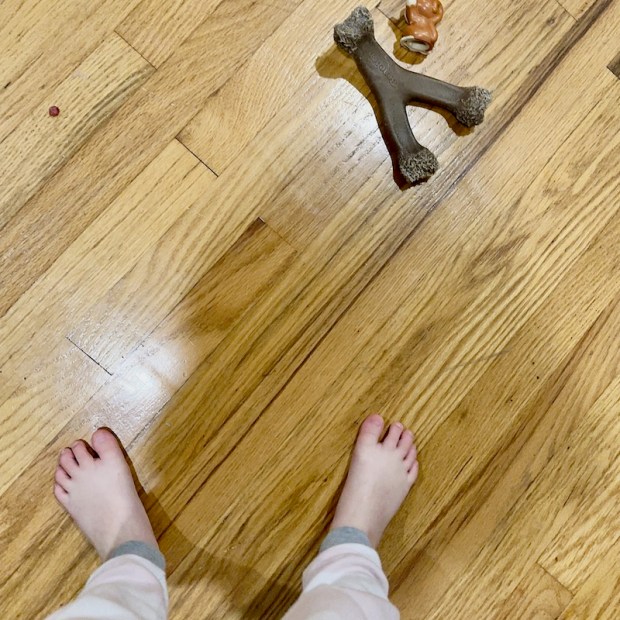 Picture taken by four year old