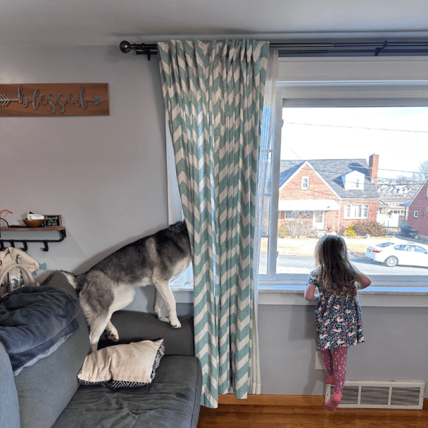 Young girl and Siberian husky looking out window together