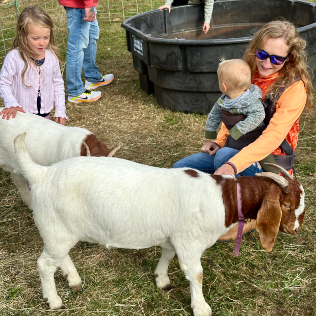 Mom at petting zoo with baby and child