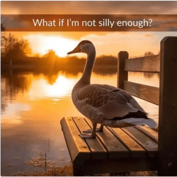 Silly goose meme