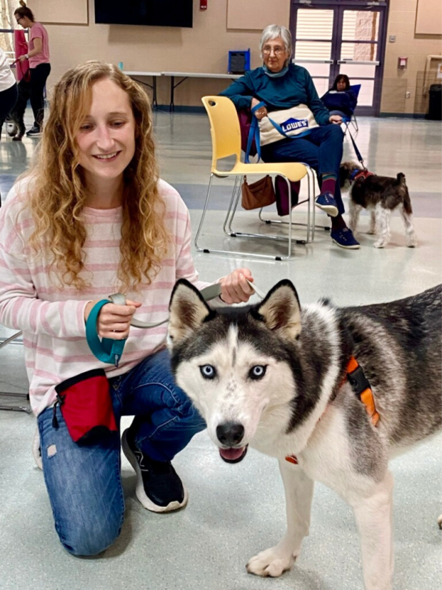 Girl training Siberian husky
