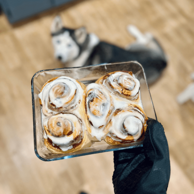 Cinnamon rolls with Siberian husky laying in background
