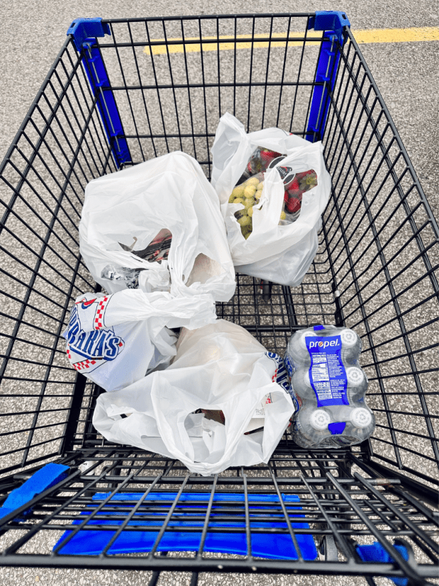 Grocery shopping cart