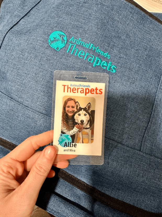 Therapy dog badge