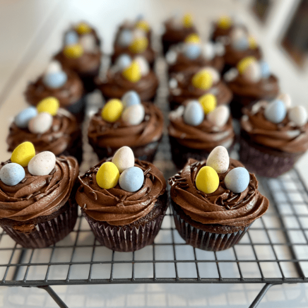 Chocolate malted milk birds next cupcakes