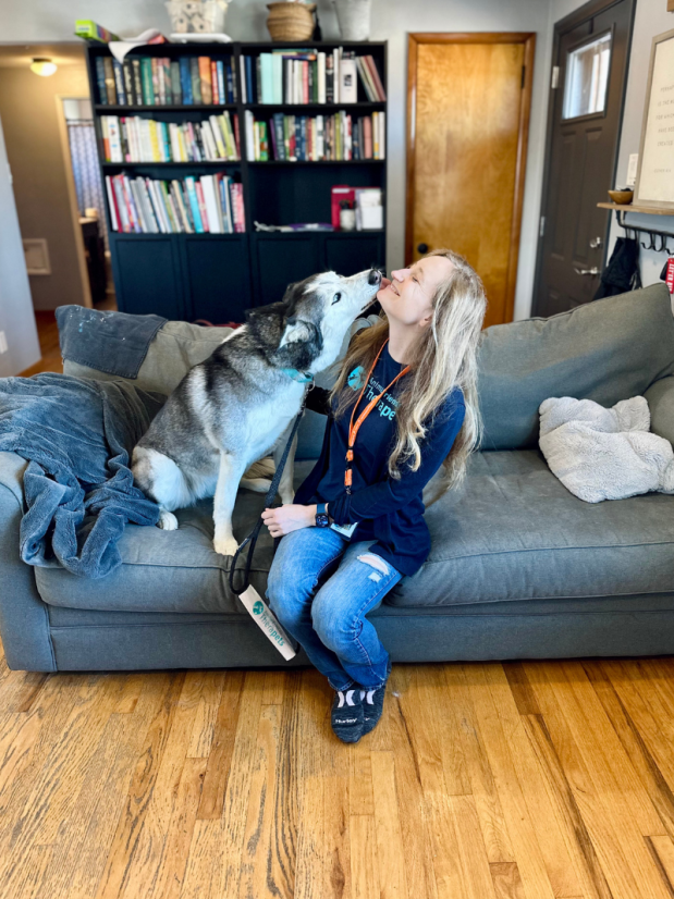 Siberian husky kissing girl