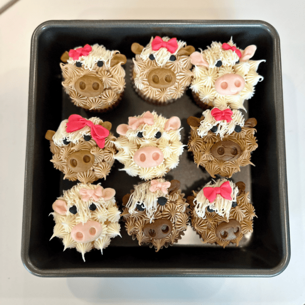 Highland Cow Cupcakes