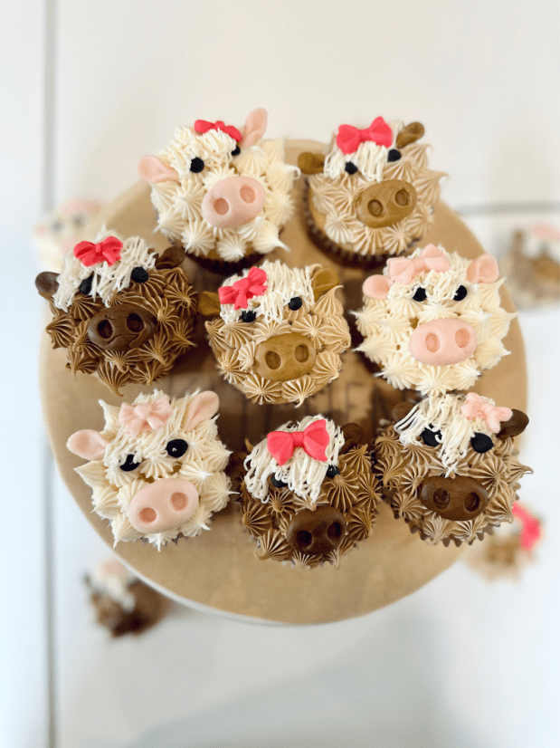 Highland cow cupcakes