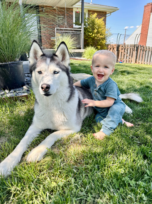 Baby boy and Siberian husky sitting together in grass