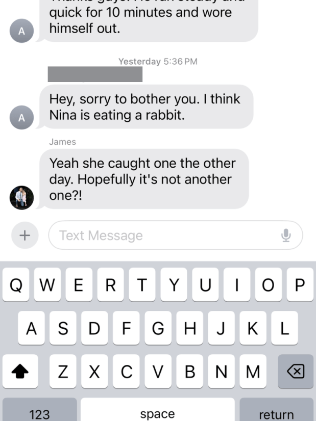 Text about dog eating a rabbit