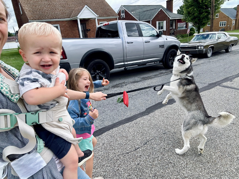 Mom and kids walking husky