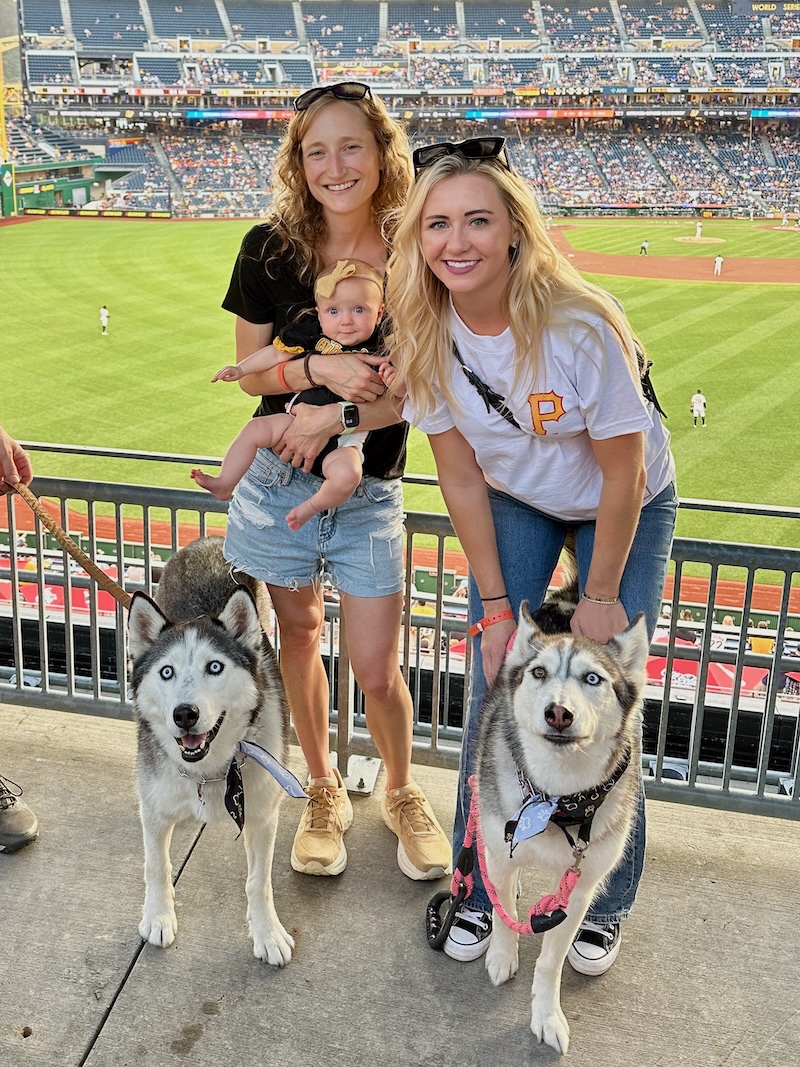 Siberian huskies at PNC Park
