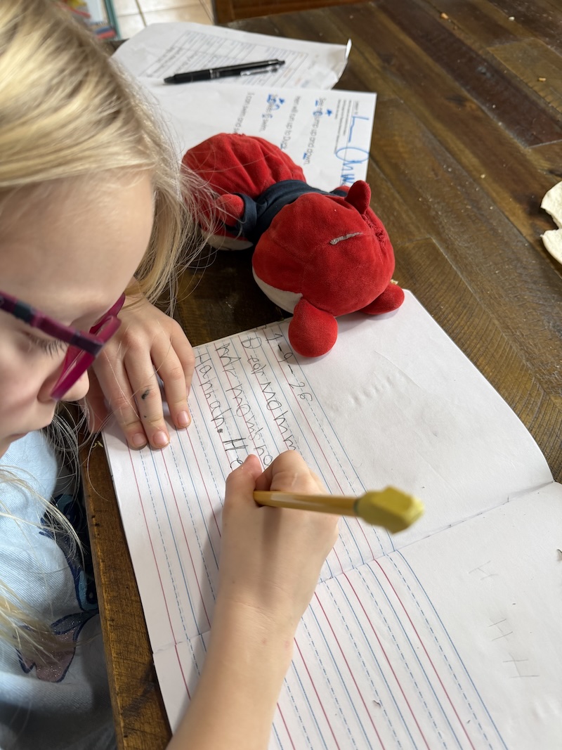 Girl doing homeschool work