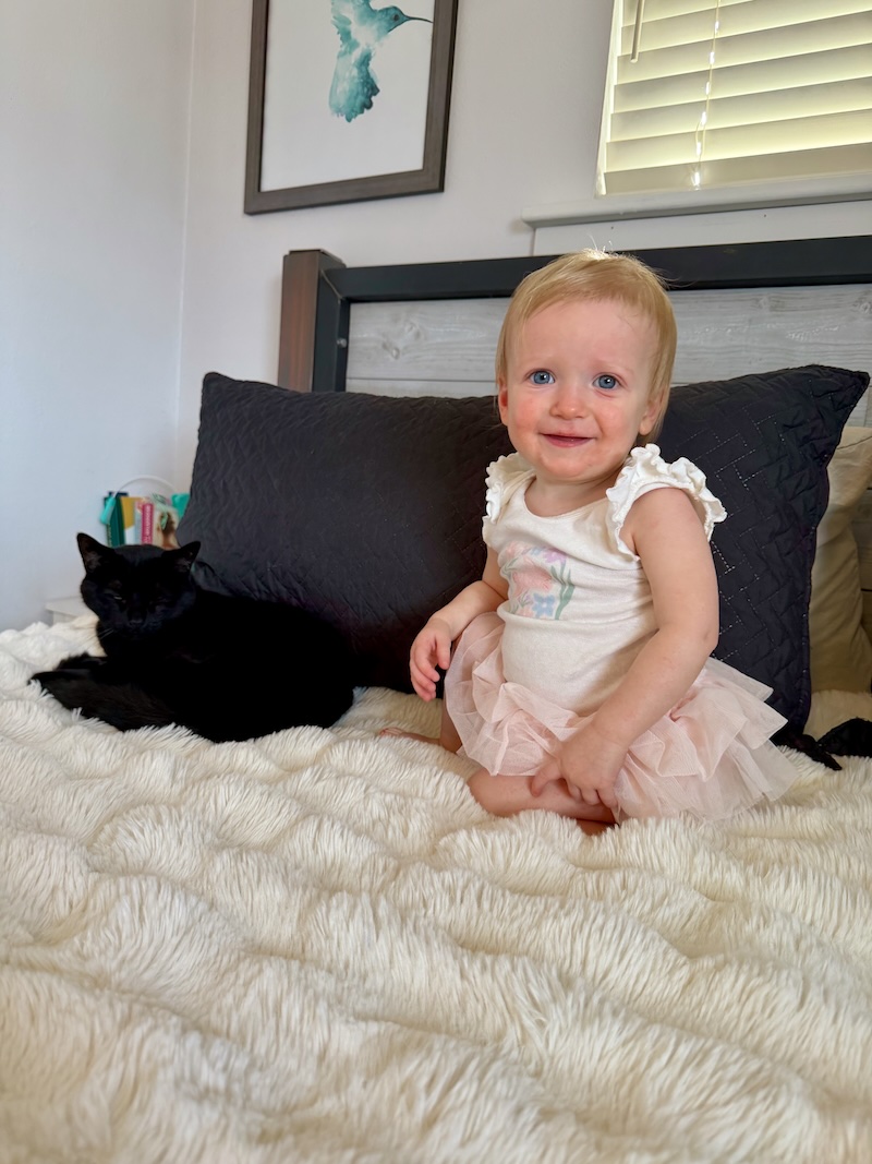 Baby on bed with black cat