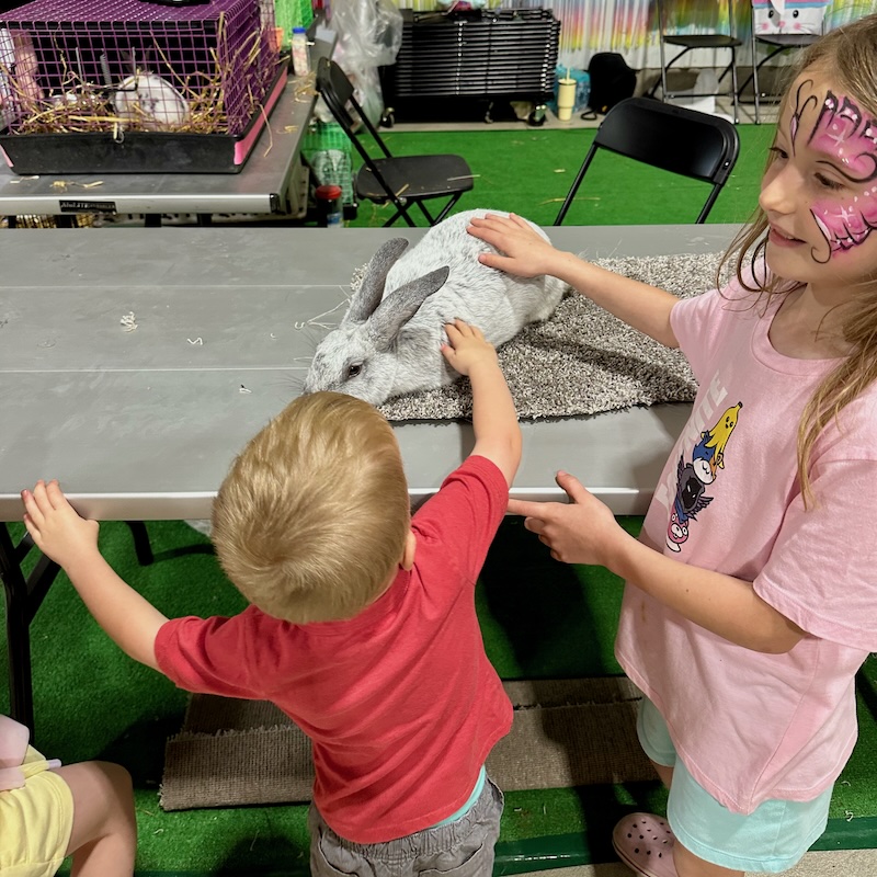 Kids petting a rabbit on a table