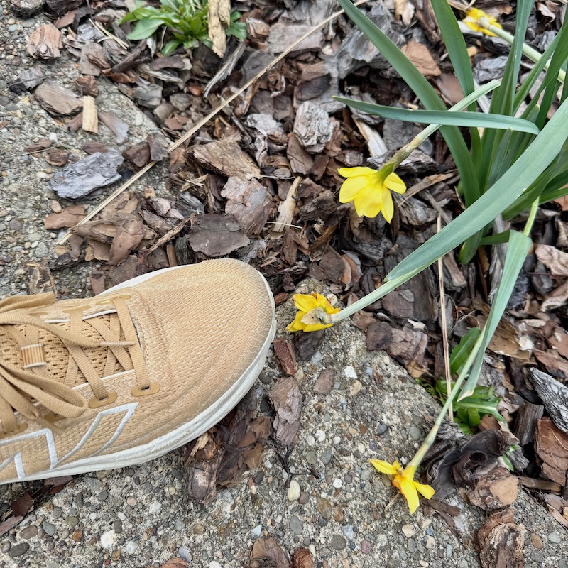 Yellow shoe near daffodil