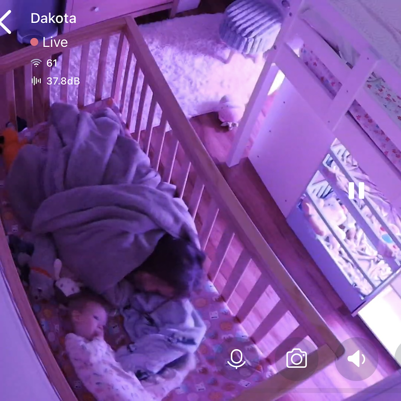 Baby and big sister laying in crib together