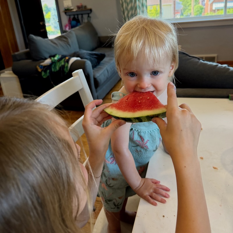 Toddler girl eating watermelon