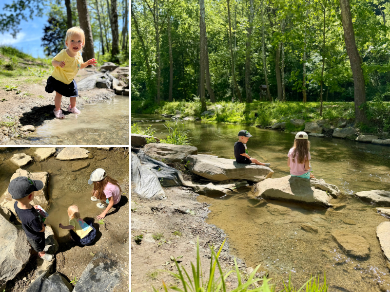 Kids at creek