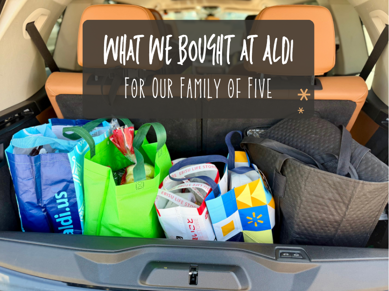 Groceries in back of car