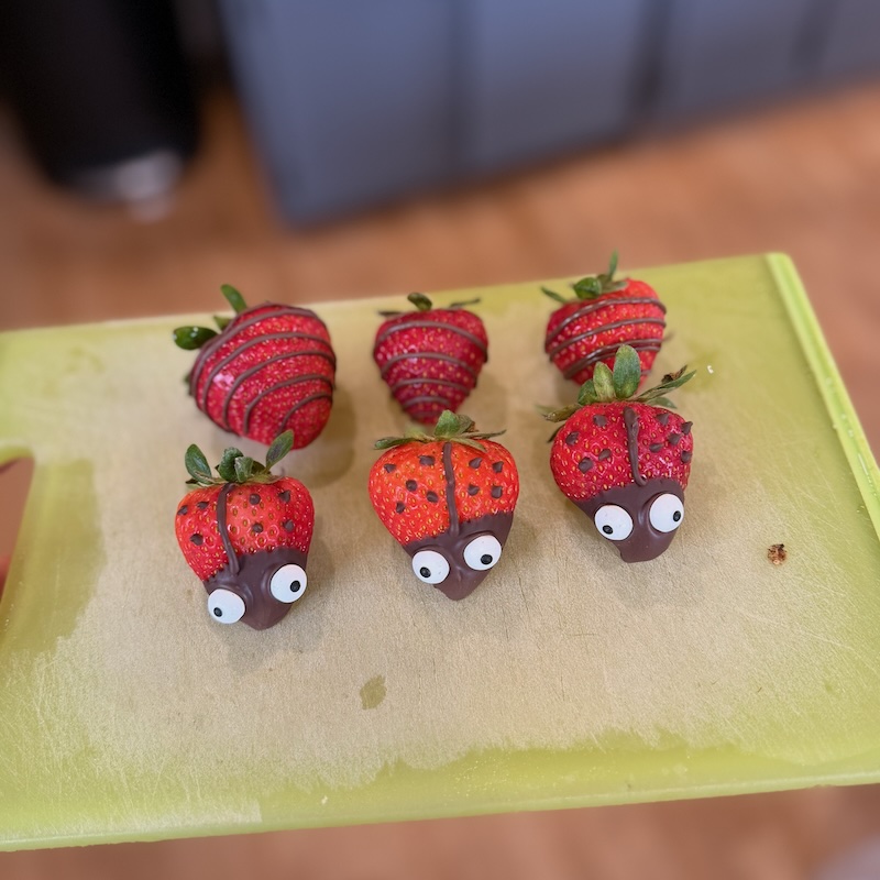 Chocolate covered lady bugs