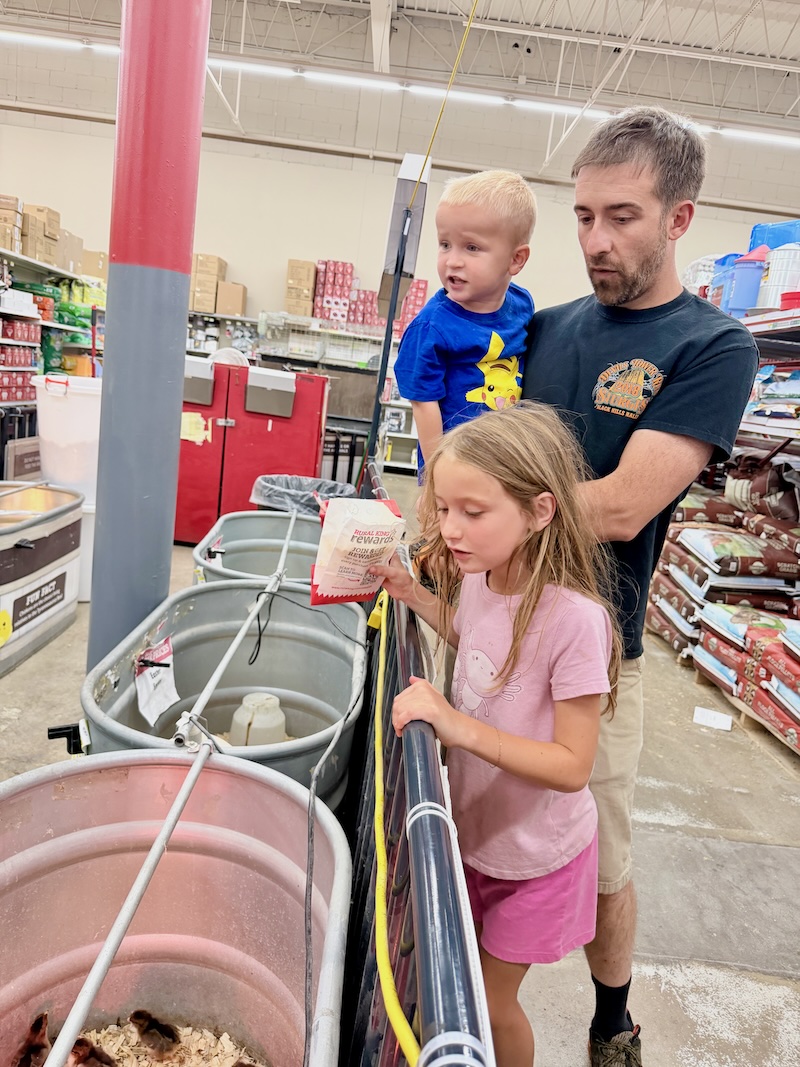 Dad and kids in Rural King looking at chickens