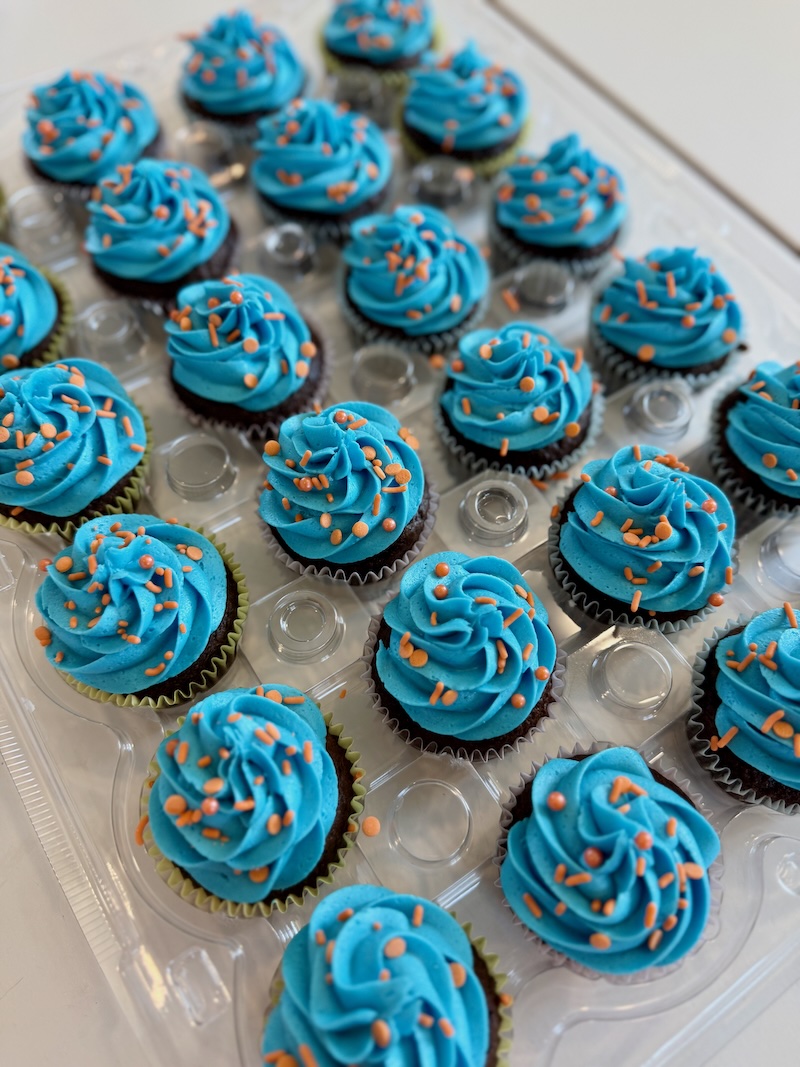 Bluey Cupcakes