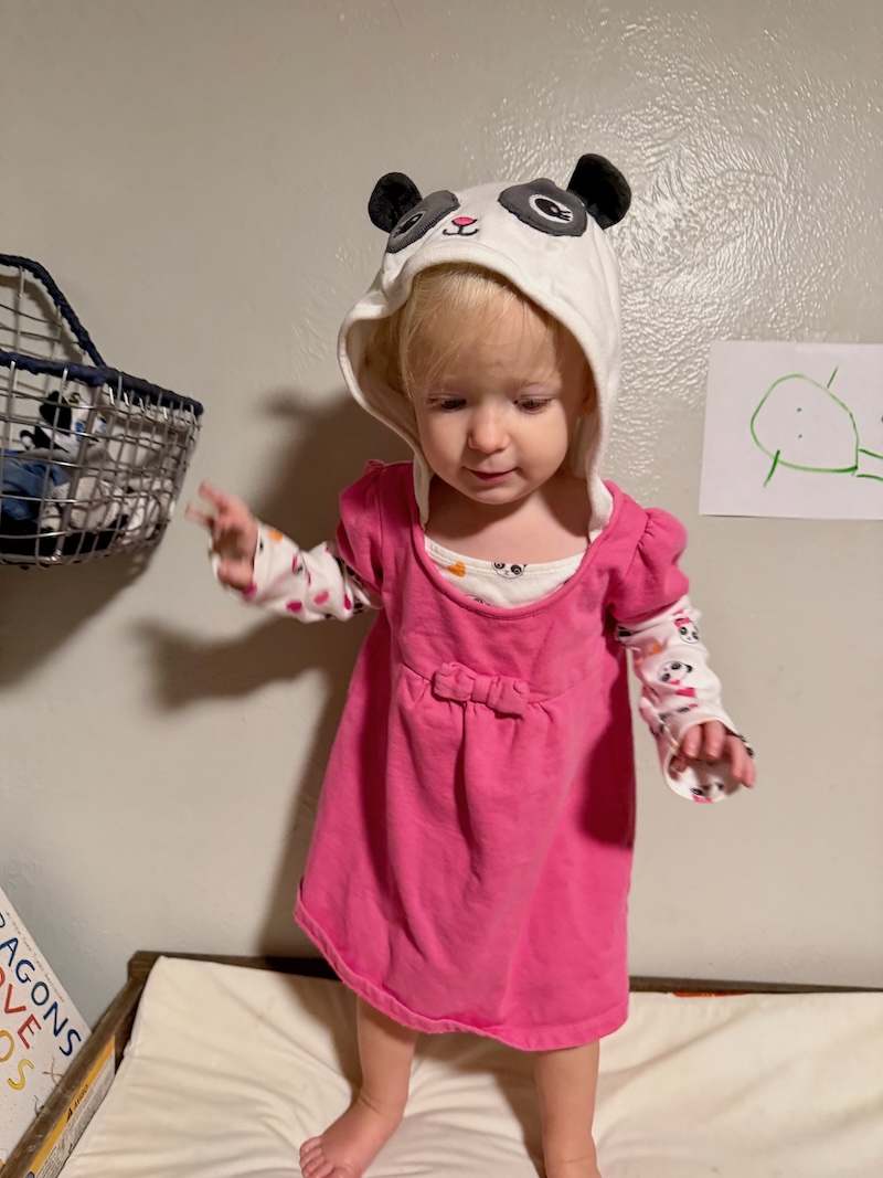 Toddler girl in vintage Gymboree panda outfit