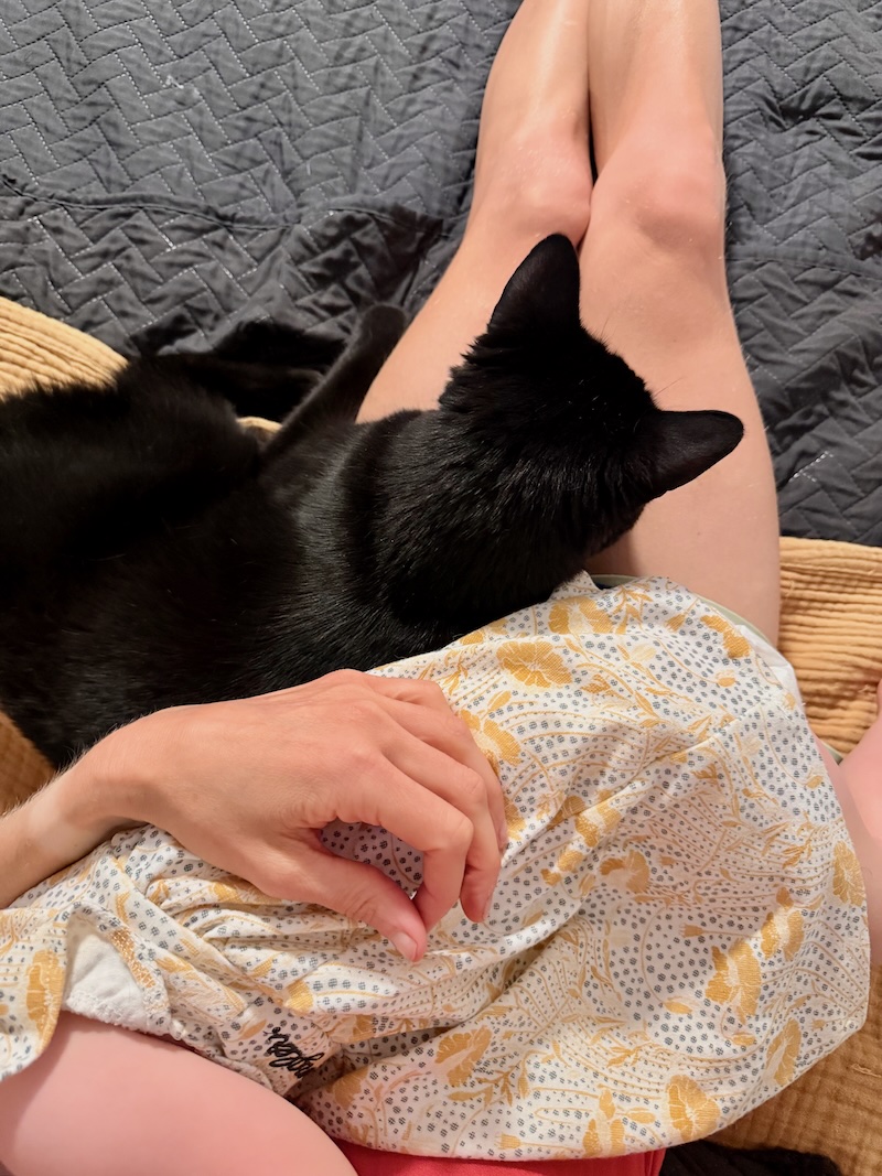Baby on mom's lap with cat