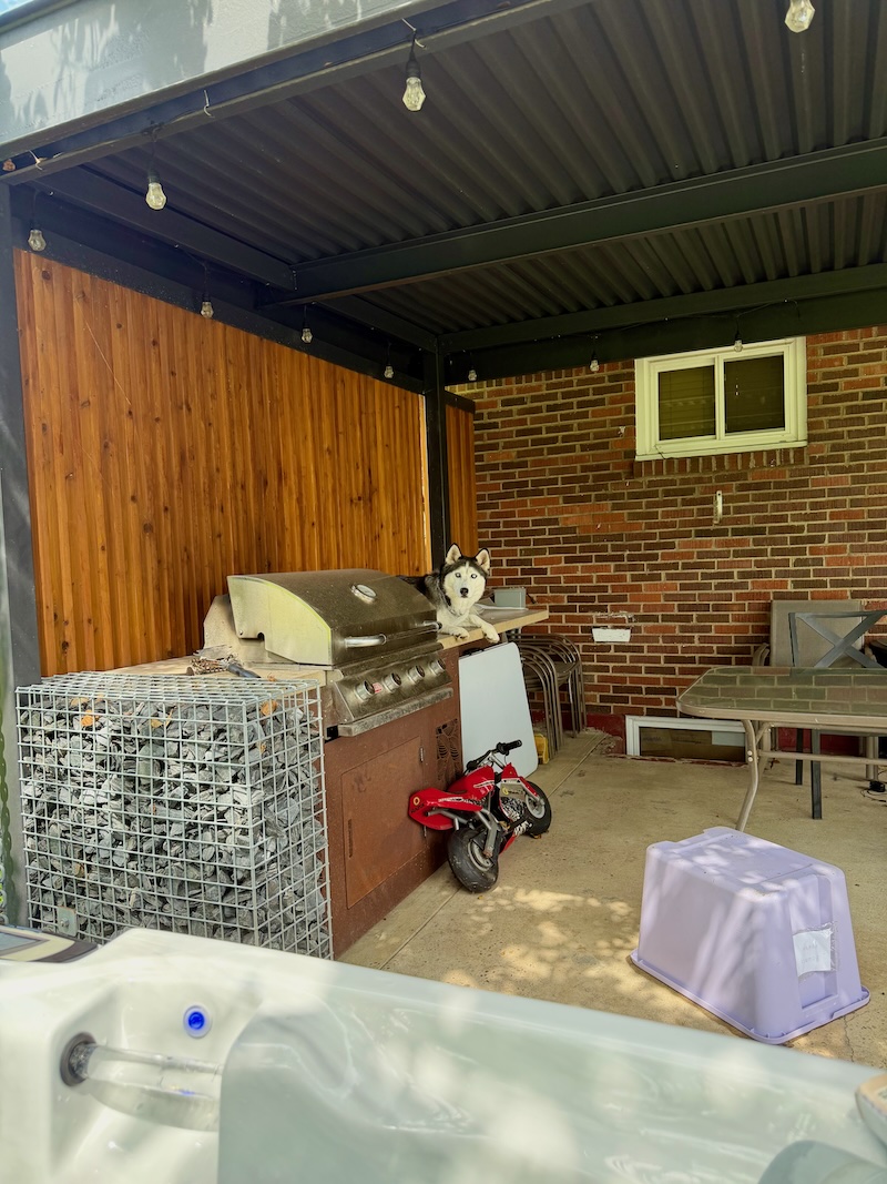 Siberian husky sitting on outdoor counter next to grill