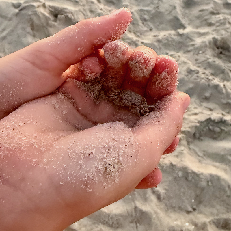 Girl holding a ghost crab
