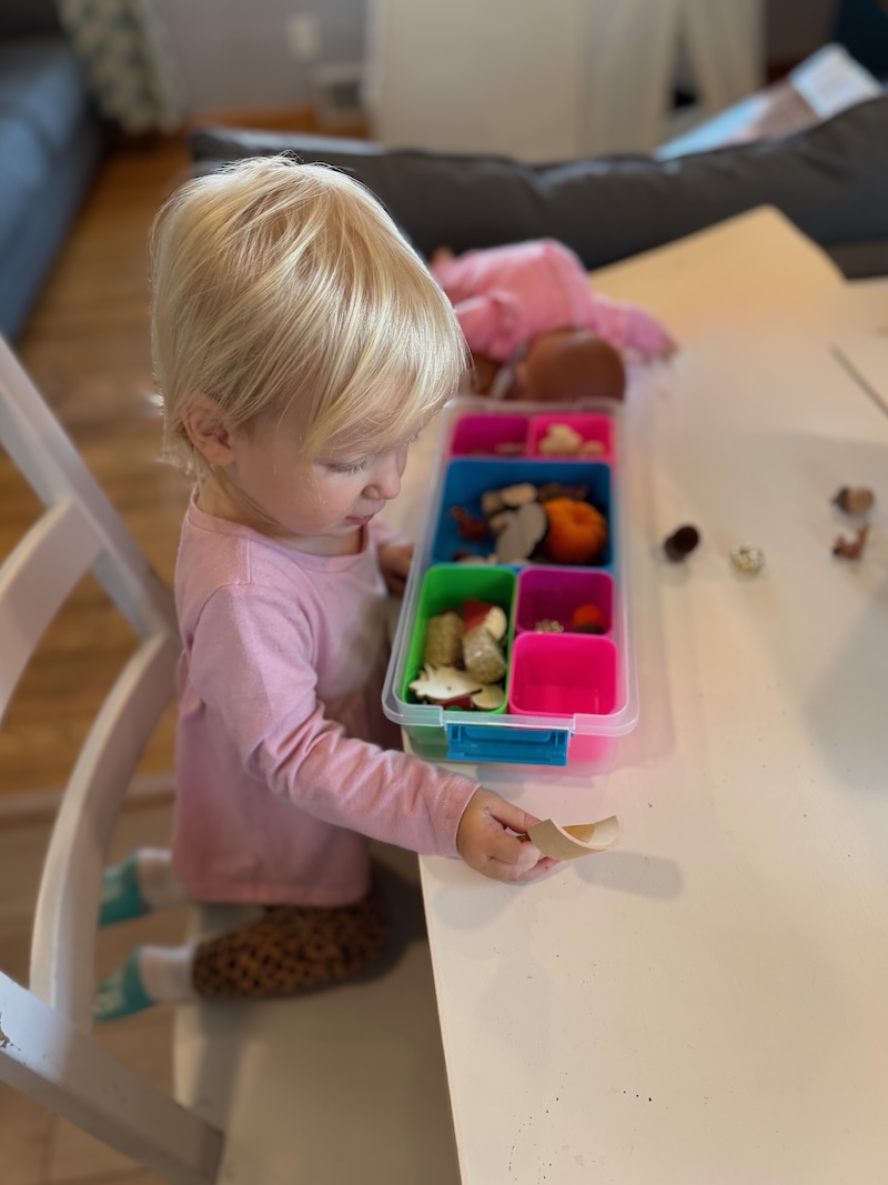 Toddler girl playing with fall sensory bin