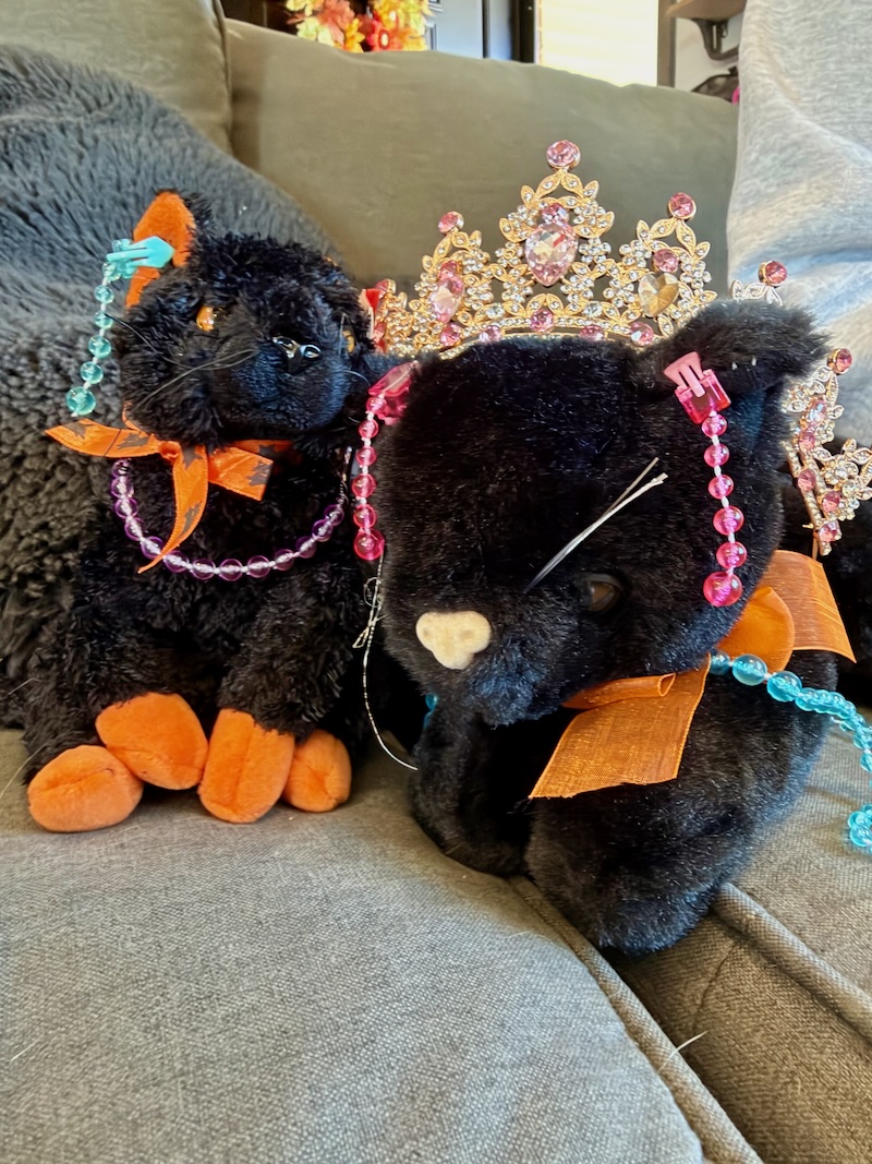 Stuffed cats